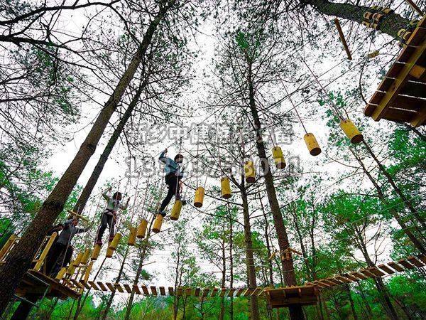 景區(qū)為什么要搭建叢林穿越設備？